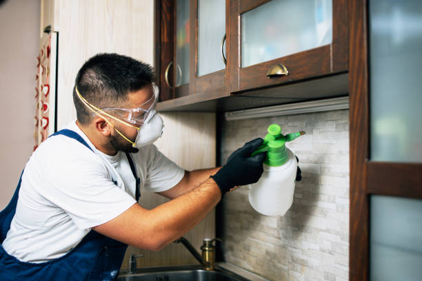 Best Pest Removal Services  in Dagsboro, DE