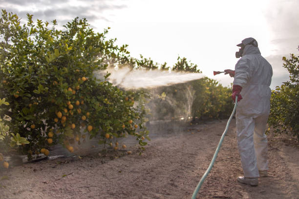 Best Affordable Pest Control Services  in Dagsboro, DE