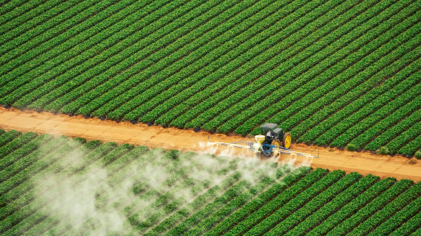 Best Commercial Pest Control Services  in Dagsboro, DE