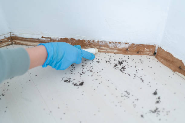 Best Pest Prevention Services  in Dagsboro, DE